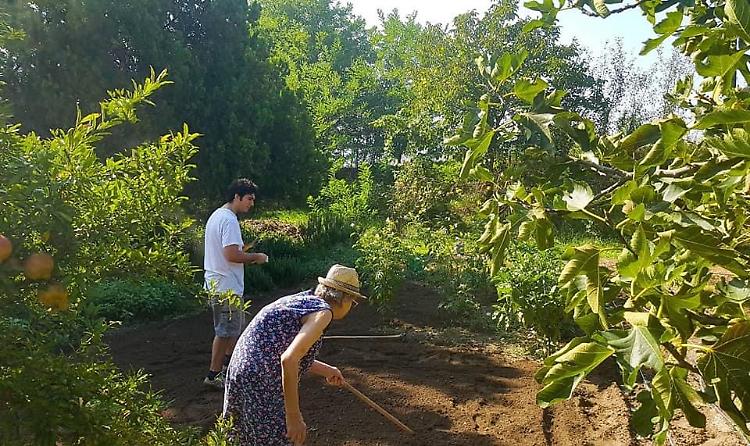 Orti inclusivi,  tra i premiati l'azienda Bearesi di Monticelli