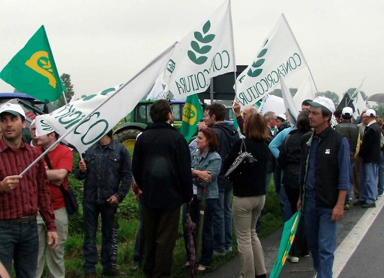 Latte, prezzo insostenibile: oggi la protesta a Cremona