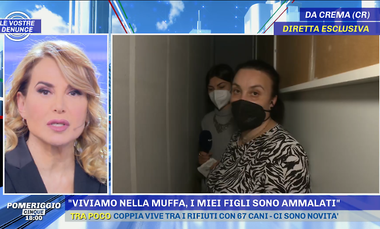 "Viviamo nella muffa", l'Aler risponde: "Mistificazione della realtà da parte dell'assegnataria"