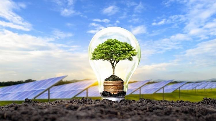 Dl energia accelera sulle rinnovabili, ma non risolve i costi energetici