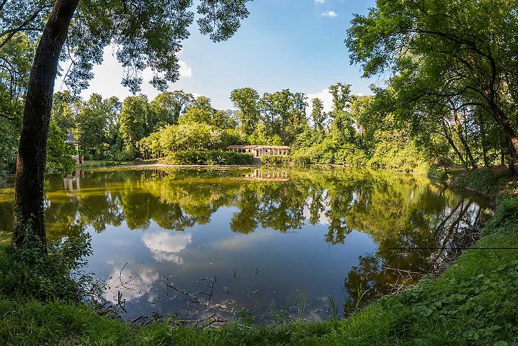 Visita naturalistica "Alla scoperta del lago"