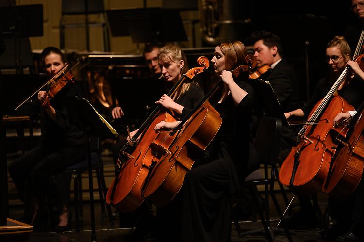 Concerto: Bozeman & Cremaggiore Orchestra