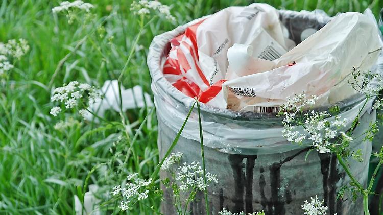 Ambiente, oltre 4000 ragazzi cremaschi uniti per un mondo più pulito