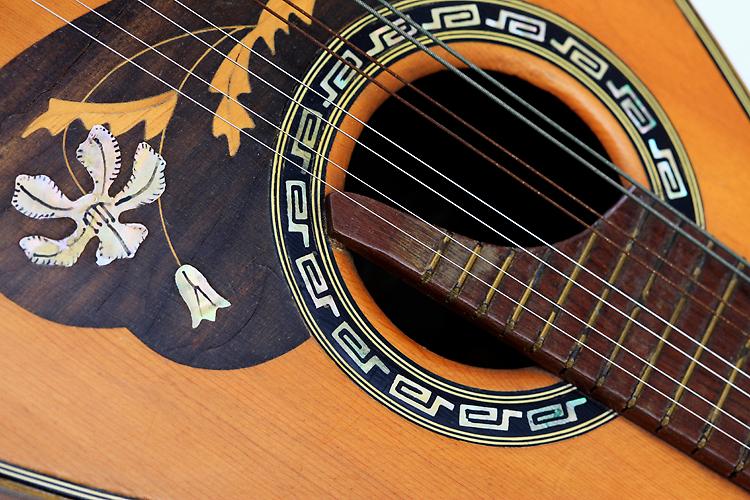 Concerto di beneficenza con I mandolinisti di Parma