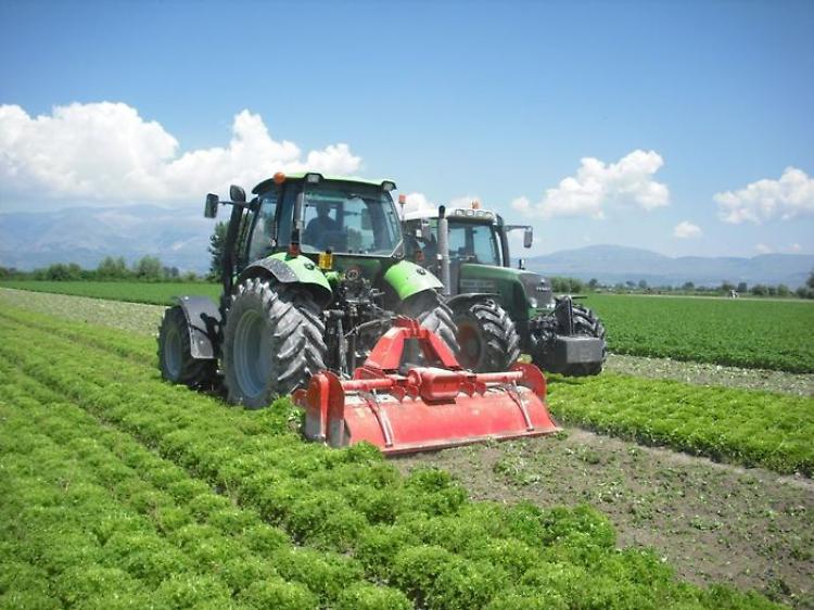Ucraina, Confagricoltura: «L’Unione europea è chiamata ad aumentare la propria produzione agricola»