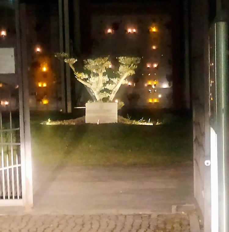 Al cimitero il cancello si apre da solo di notte