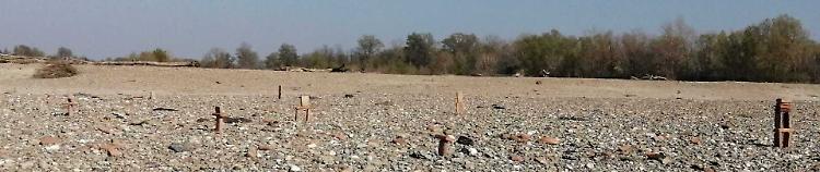 Po, la  Mattei si ferma: «Con questa magra navigare è rischioso»