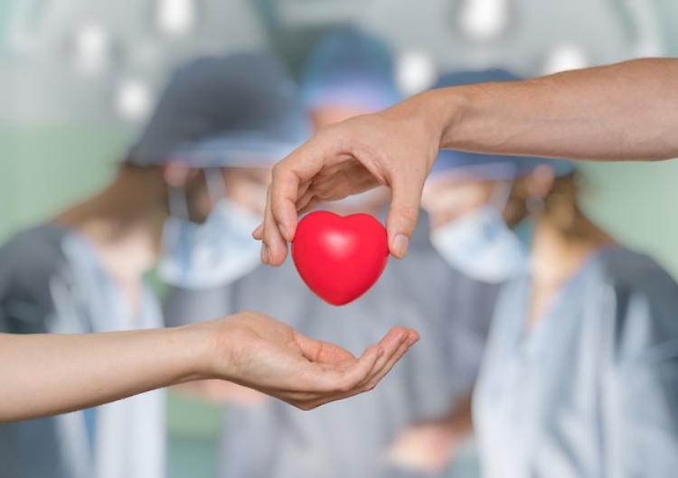 «Diventa anche tu donatore di organi»