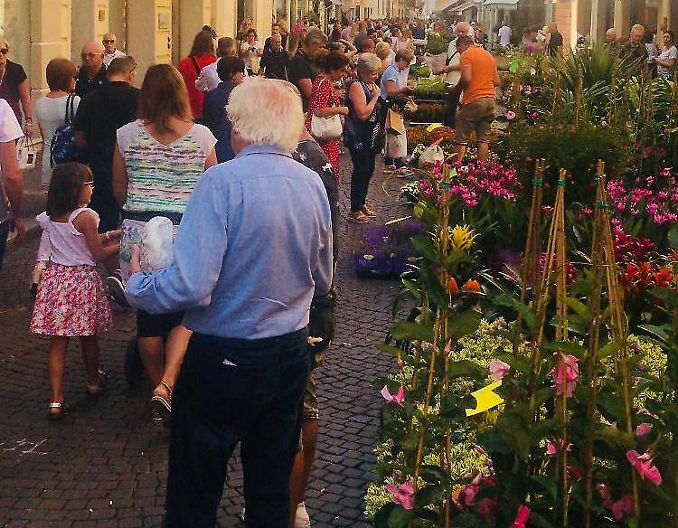 Crema Fiori e Sapori:  colorata e gustosa invasione nel weekend