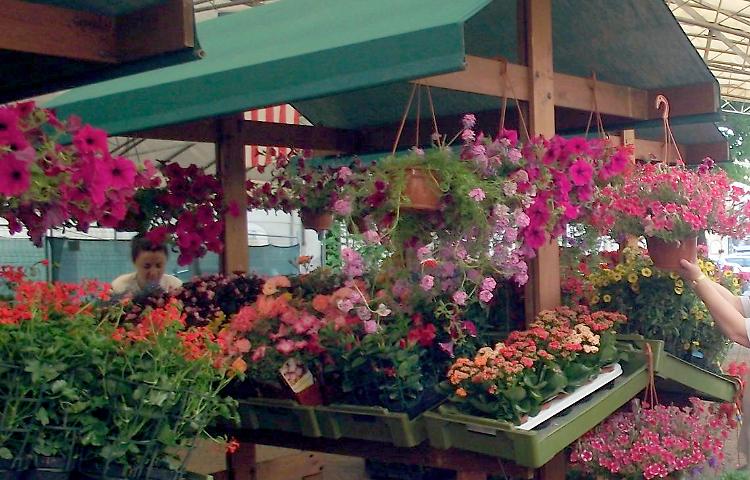 49^ Fiera di Maggio - Fiera dei Fiori