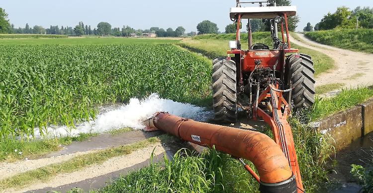 Irrigazione, Brocca: «Non abbiamo acqua. È un’emergenza mai vista»