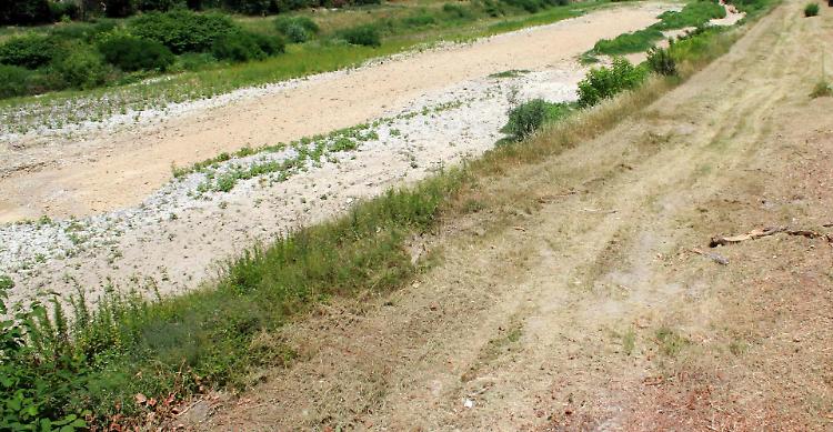 Siccità, Fontanili asciutti: sos agricoltura e zootecnia