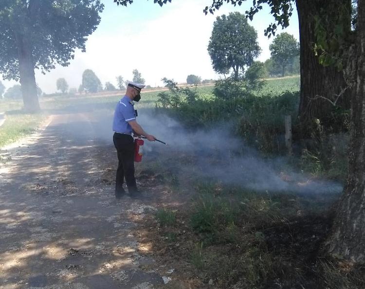 Getta un mozzicone di sigaretta e prendono fuoco i piumini dei pioppi