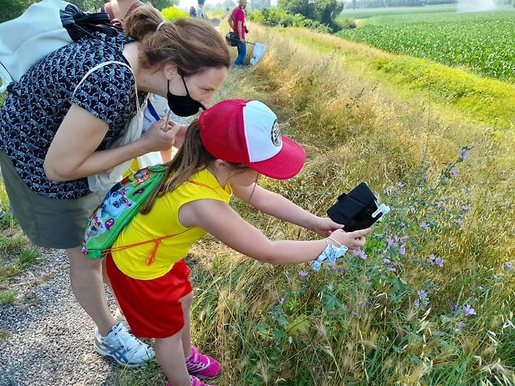 BioBlitz, monitoraggio della biodiversità regionale