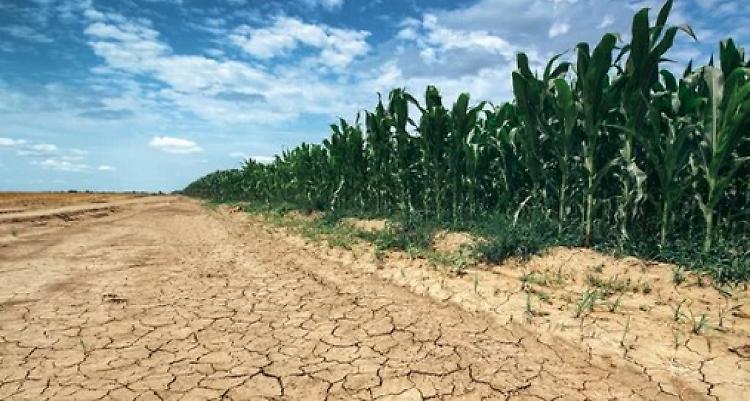 Siccità: i gestori lombardi aumentano il rilascio dell'acqua