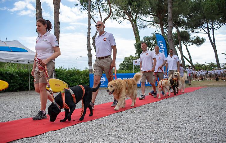 Cane salvò casalese in mare: omaggio alla Casa del Forte