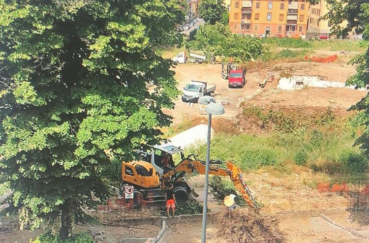 Ex Snum, addio ai tigli della discordia