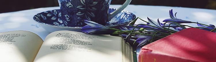 Summer Poetry Festival 2022