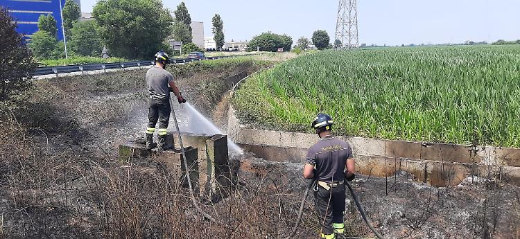 Mozzicone di sigaretta acceso, a fuoco le sterpaglie alla rotatoria della Cava