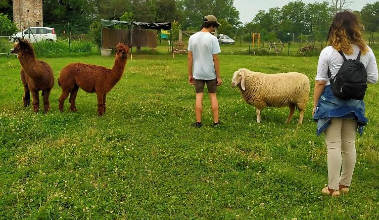  Ci sto? Affare fatica!: dal 20 al 24 giugno partono le prime attività