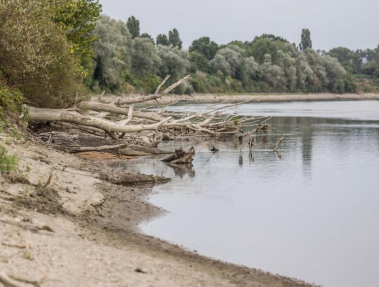 Siccità, liberata altra acqua: il Po cresce