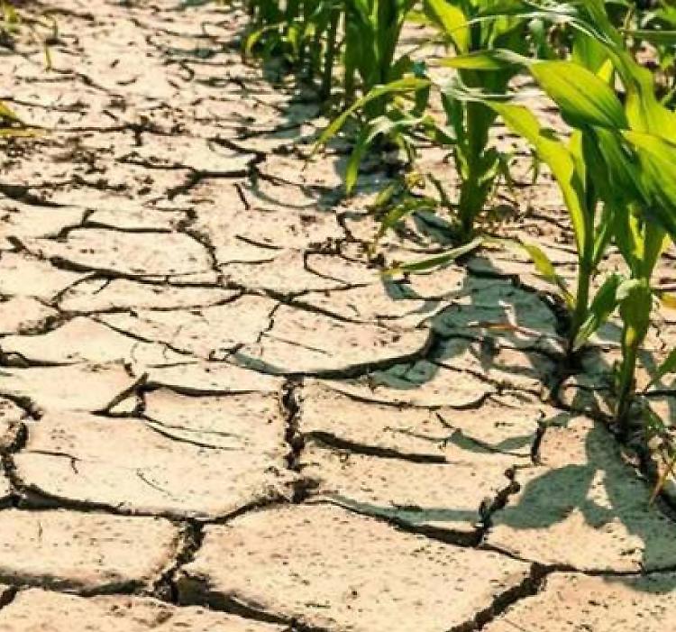 Siccità, la Regione: «Noi mobilitati fino all’ultimo litro d’acqua»