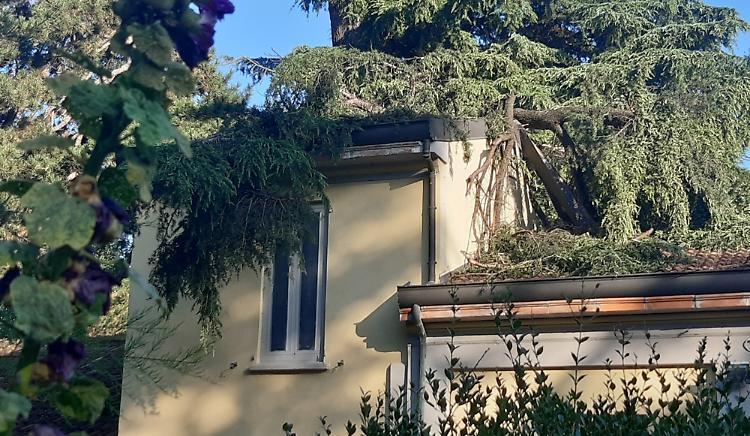 Tromba d'aria, gravi danni a Villa Flaminia