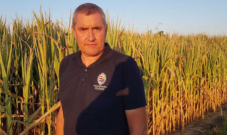 Siccità, più acqua oggi e domani: «O si ferma l’irrigazione»