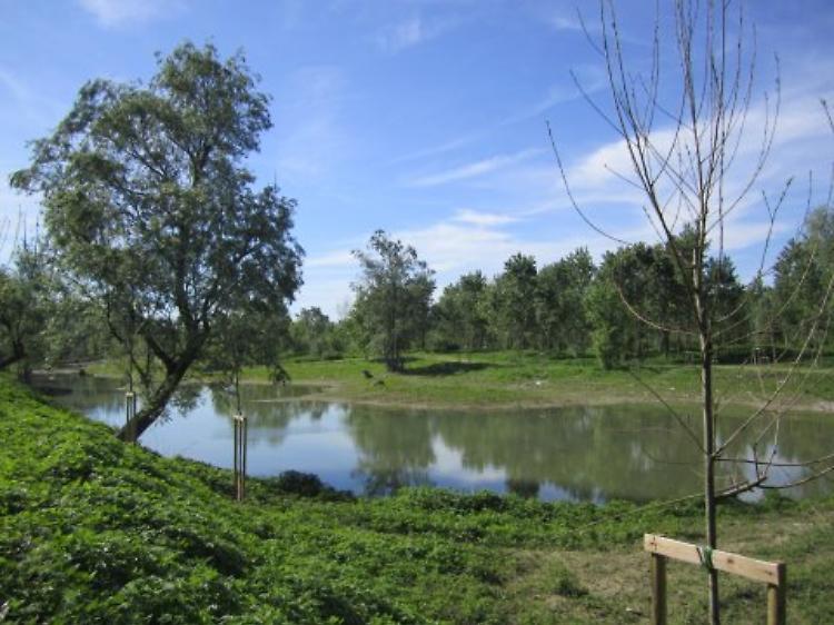 Storie di fiume con le Guardie Ecologiche Volontarie