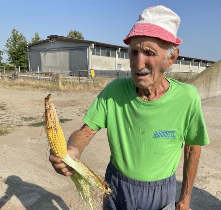 Siccità, nei campi «arsi» l’ira dei soncinesi: «Qui un disastro»