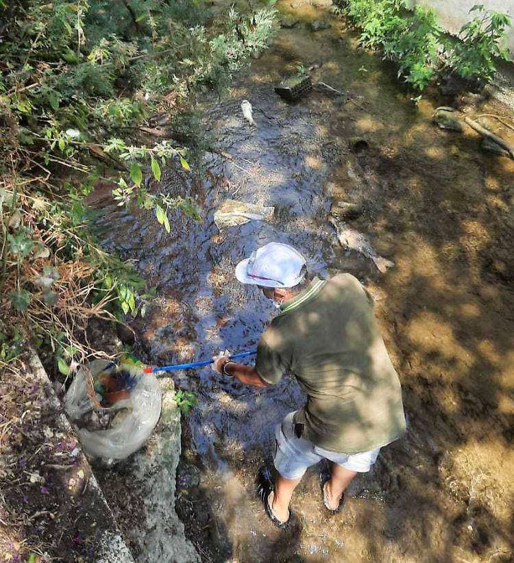A Crema la «strage» dei cavedani