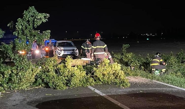 Maltempo e disagi: strada provinciale 462 bloccata a San Pedretto. Riaperta