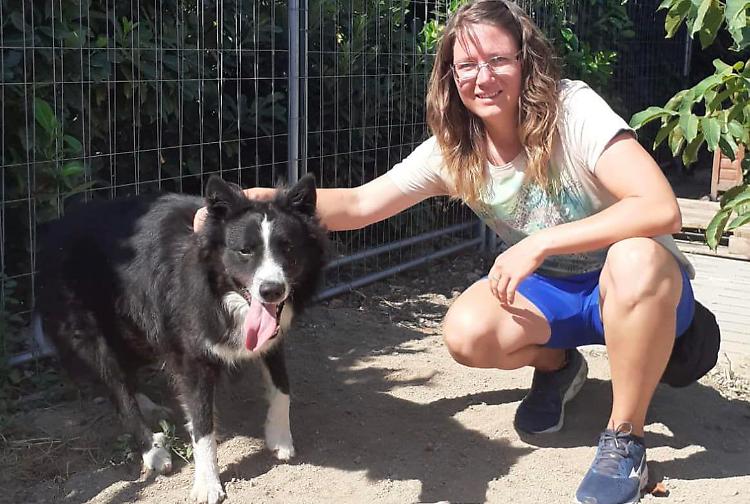 Canile, addio ai volontari: «Il nostro cuore a pezzi»
