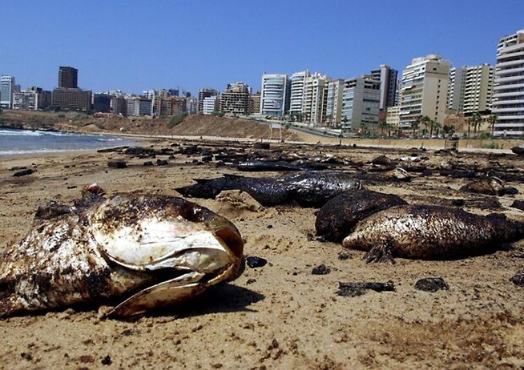 Cnr, Tirreno come ai Tropici, l'acqua tocca i 30 gradi