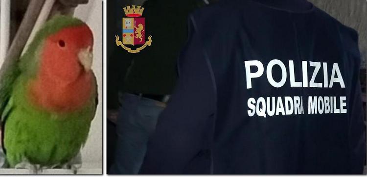 Furto anomalo: via tele, effetti personali, cocorita e casa allagata. Ma la ladra è l'ex