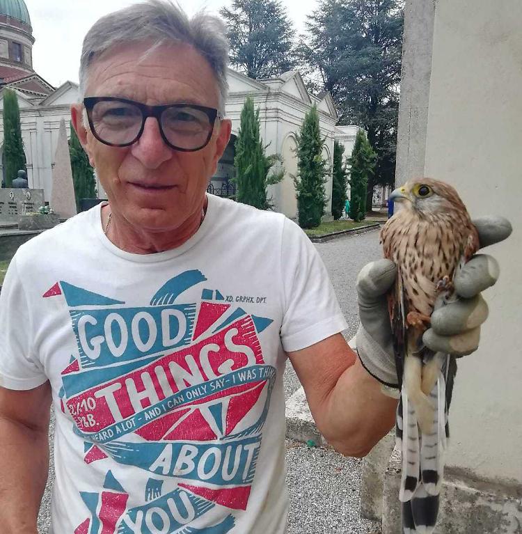 Gheppio salvato dagli agenti: «Ha un’ala spezzata»