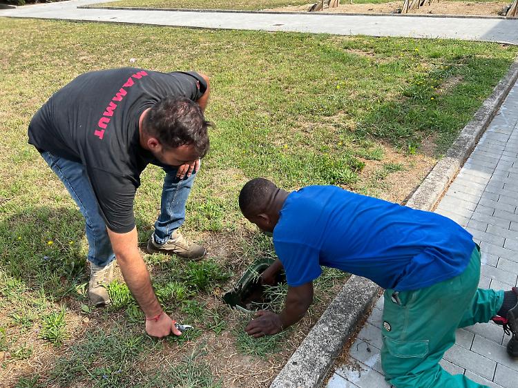 Vandalismi al cimitero di Vho, tagliati i fili dell'irrigazione