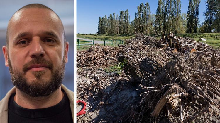  Parco al Po stravolto: «Dopo la bufera ancora tutto da fare»