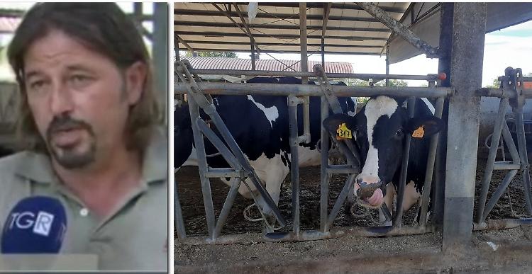 Zootecnia, Zaghen: «Più costi e meno prodotto. Manca una politica agricola»