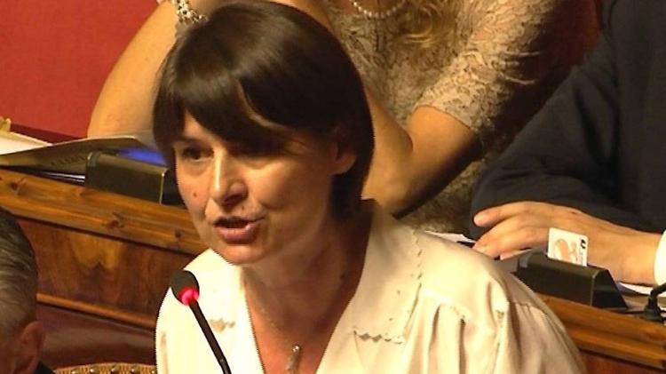 Comaroli: «Le priorità? Le famiglie e le imprese»