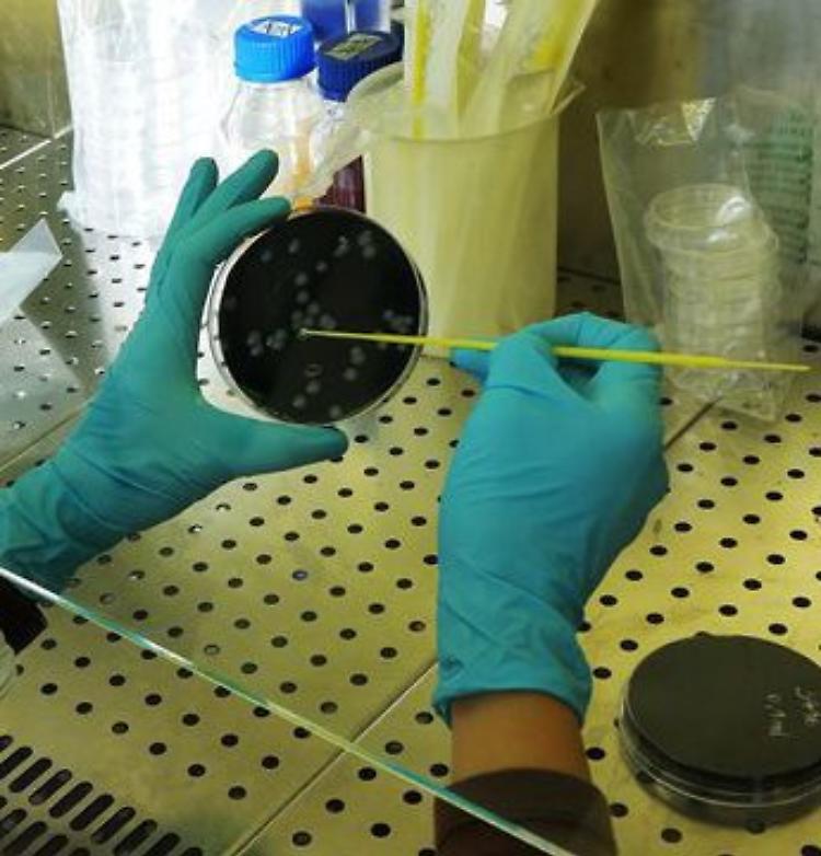 Morto di legionella. Il batterio in un hotel vicino