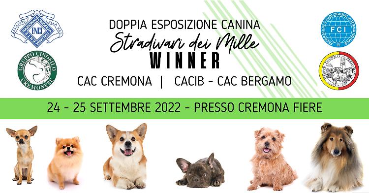 Doppia Esposizione canina - Stradivari dei Mille