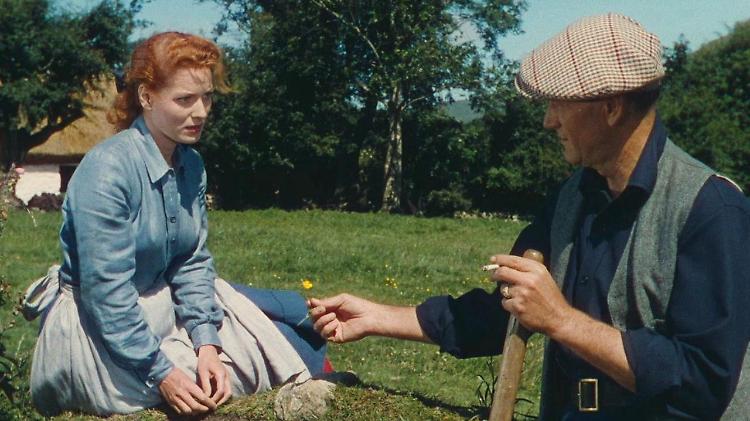 The Quiet Man (Un uomo tranquillo) Irish Film