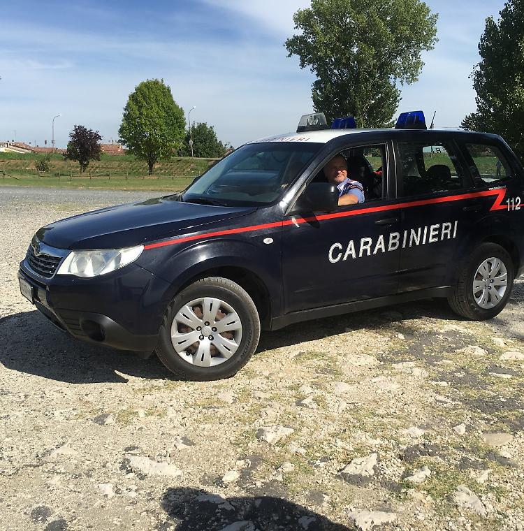Monticelli d'Ongina: calci al cane per strada, denunciato