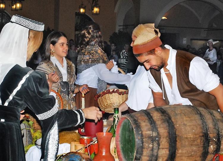 Palio delle Contrade. Rievocazione storica medioevale