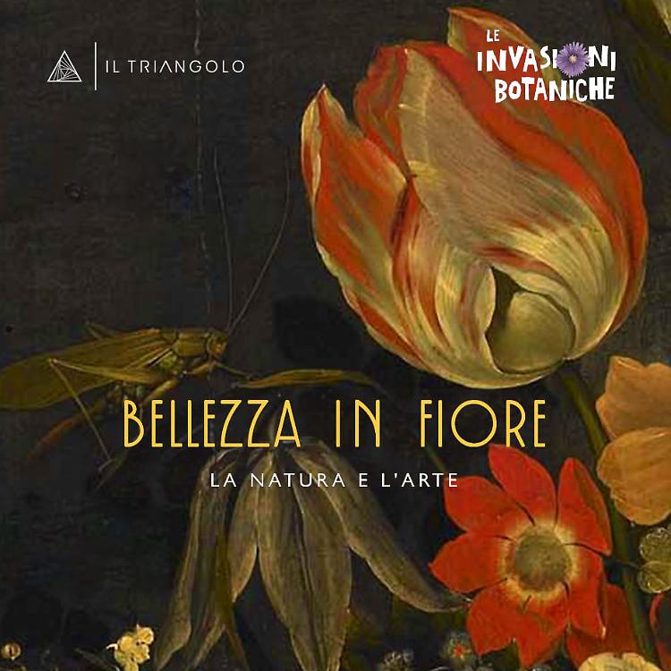 BELLEZZA IN FIORE - La natura e l'arte