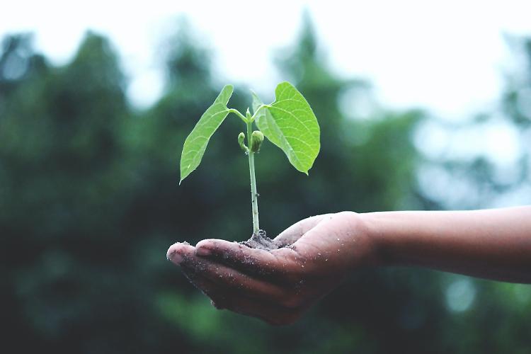 Smart AgriFood, attivo il link per il questionario rivolto ad aziende agricole e zootecniche