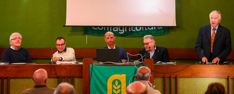 Agricolturra: «Il Pnrr grande occasione, settore primario centrale»