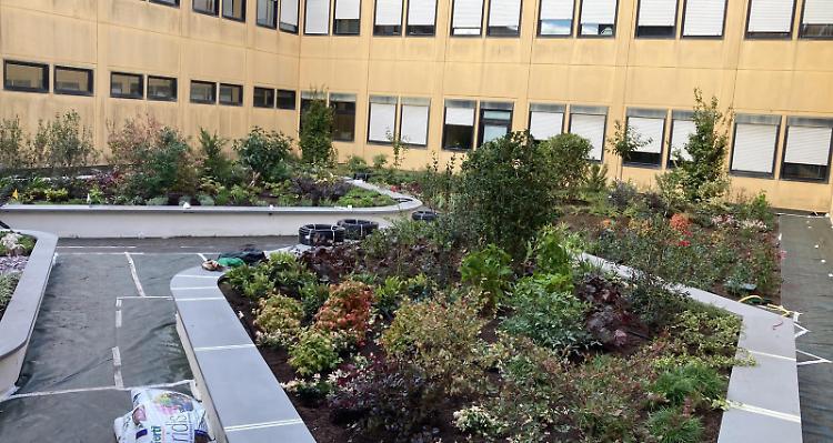 Il Day Hospital in partenza, all’Oglio Po anche l’Hospice
