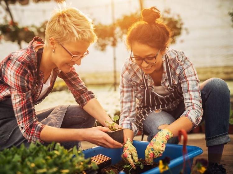 Giornata della donna rurale, Confagri: “Trend in crescita per le aziende femminili”